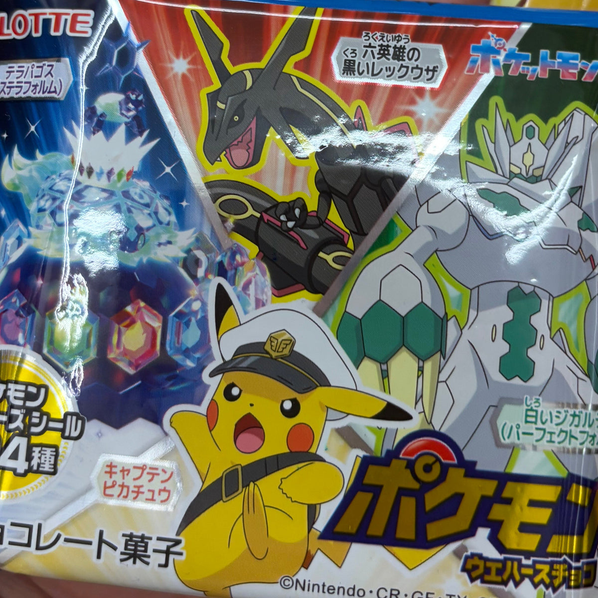 pokemon snack9